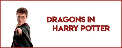 DRAGONS IN HARRY POTTER